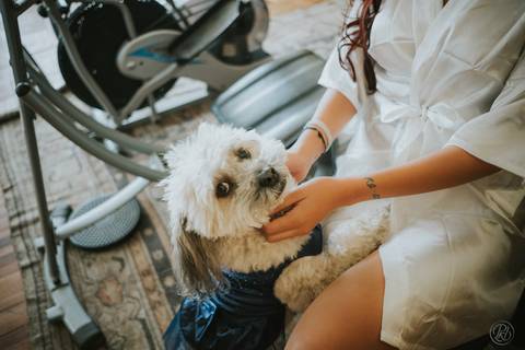 Boda jardin, La Paz, Bolivia, HIMYM inspired detalles novia '