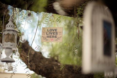 Boda jardin, La Paz, Bolivia, HIMYM inspired detalles '