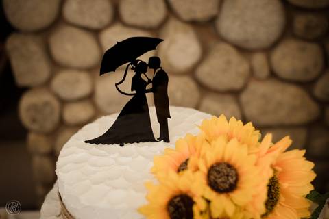 Boda jardin, La Paz, Bolivia, HIMYM inspired detalles '