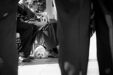 Boda jardin, La Paz, Bolivia, HIMYM inspired ceremonia cristiana '