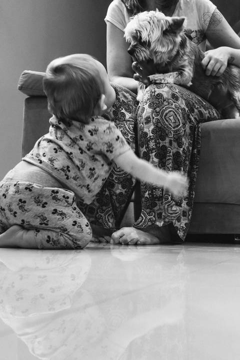 Festa em casa na sala de casa em periodo de pandemia decoraçao  de festa em casa familia reunida para aniversario infantil  fotos feitas pela fotografa premiada nayara andrade fotografia de santos'