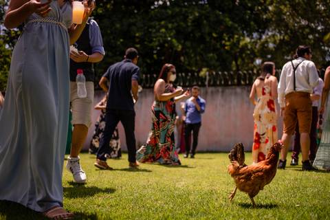 Fotografia de Casamento - Galinha na Cerimônia - Vitoria ES - Retrato de Casamento'
