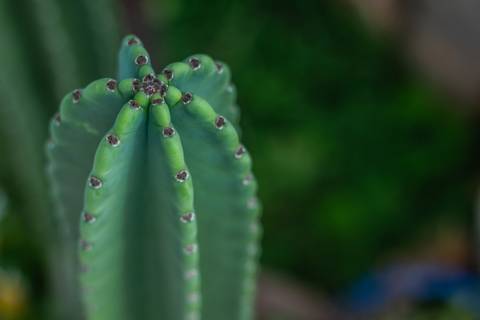 Storytelling casamento estancia boa vista ribeirão preto casamento no campo casamento ao ar livre casamento no por do sol fotografo de casamento em ribeirao preto fotografia de casamento ribeirao preto'