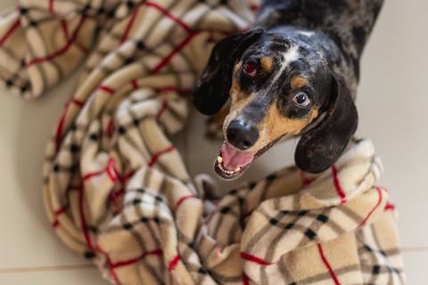 Storytelling casamento estancia boa vista ribeirão preto casamento no campo casamento ao ar livre casamento no por do sol fotografo de casamento em ribeirao preto fotografia de casamento ribeirao preto'