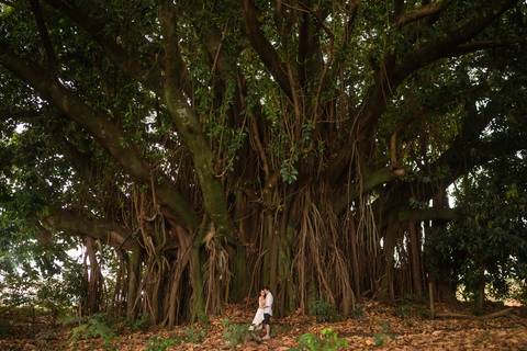 pre wedding campo por do sol foto noturna parque curupira estancia boa vista ribeirao preto sp'
