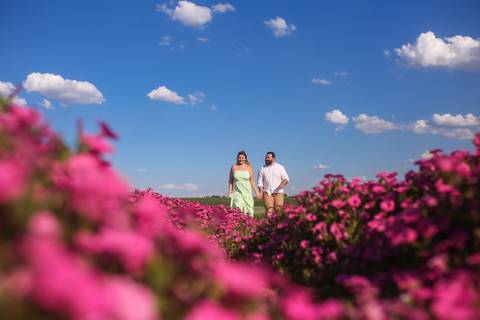 pre_wedding_holambra'