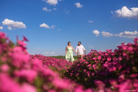 pre_wedding_holambra'