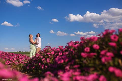 pre_wedding_holambra'