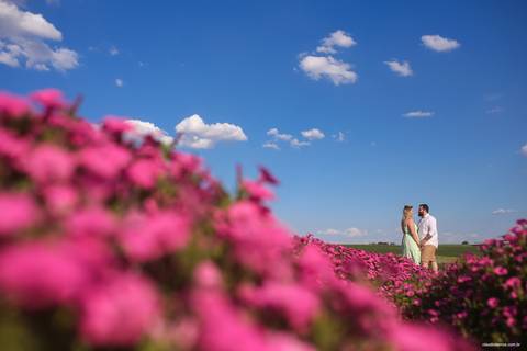 pre_wedding_holambra'