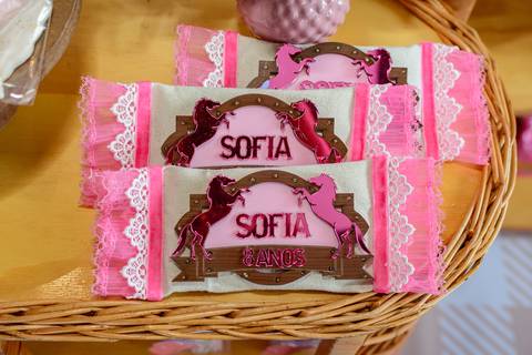 

kikarodrigues, fotografo, eventos, guarulhos, festa, infantil, aniversario, ana castela, buffet, criança, bebê, guarulhos, rosa, marrom, dourado, boiadeira, família, espontâneas, documental, alegria'