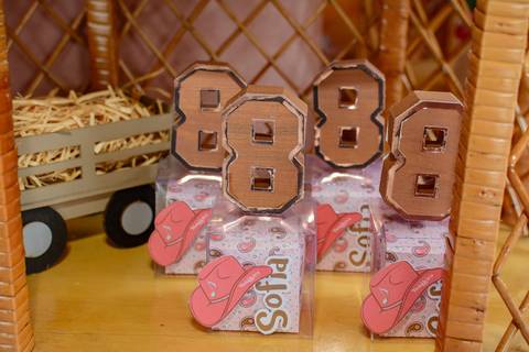 

kikarodrigues, fotografo, eventos, guarulhos, festa, infantil, aniversario, ana castela, buffet, criança, bebê, guarulhos, rosa, marrom, dourado, boiadeira, família, espontâneas, documental, alegria'