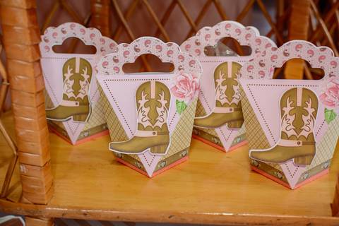 

kikarodrigues, fotografo, eventos, guarulhos, festa, infantil, aniversario, ana castela, buffet, criança, bebê, guarulhos, rosa, marrom, dourado, boiadeira, família, espontâneas, documental, alegria'