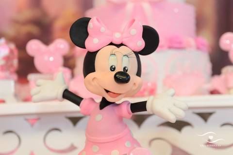 cobertura fotografica 
equipe de fotografo de guarulhos 
festa infantil '