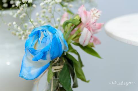 Fotografo de festa infantil Guarulhos'