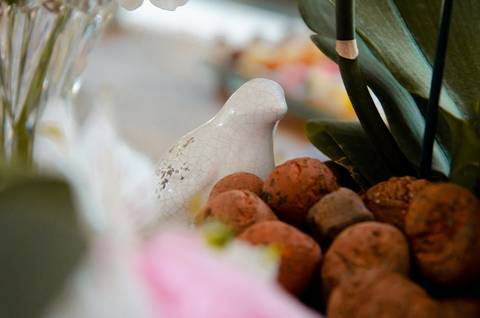 Fotografo de Evento '