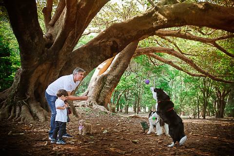 Ensaio Fotográfico Pet e Tutor
Zetti e Cão Boder Collie preto branco
Fotografia de pets Externo Pq Ibirapuera
Fotos Profissionais de Animais
Fotógrafas Gabriella Arruda e Ana Hochheim
Estúdio Gabi Fotografia
São Paulo - SP
www.gabi.fot.br
www.anah.fot.br'