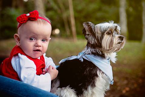 Ensaio Fotográfico Pet e Bebê
Bebê puxando babador cachorro Yorkshire
Fotografia de pets Externo Pq Ibirapuera
Fotos Profissionais de Animais
Fotógrafas Gabriella Arruda e Ana Hochheim
Estúdio Gabi Fotografia
São Paulo - SP
www.gabi.fot.br
www.anah.fot.br'