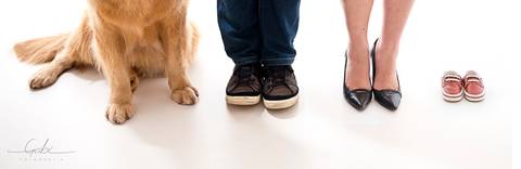 Ensaio Gestante com Pet
Fotografia em Estúdio Fotográfico com  cão,
Foto Pés da família com pata de cão
Foto Gravidez Pet Friendly
Fotógrafa Gabriella Arruda
Estúdio Gabi Fotografia
São Paulo - SP
www.gabi.fot.br'
