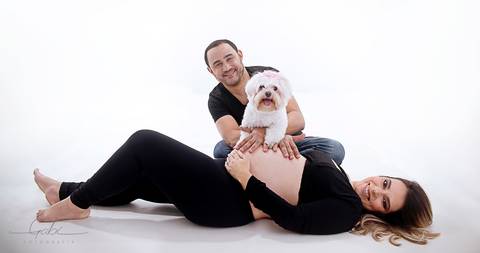 Ensaio Gestante com Pet
Fotografia em Estúdio Fotográfico com  cão,
Casal grávidos com cachorro Maltês
Foto Gravidez Pet Friendly
Fotógrafa Gabriella Arruda
Estúdio Gabi Fotografia
São Paulo - SP
www.gabi.fot.br'