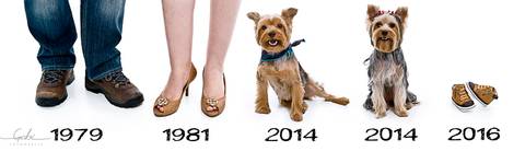 Ensaio Gestante com Pet
Fotografia em Estúdio Fotográfico com  cão,
Foto Pés da família com pata de cão
Foto Gravidez Pet Friendly
Fotógrafa Gabriella Arruda
Estúdio Gabi Fotografia
São Paulo - SP
www.gabi.fot.br'