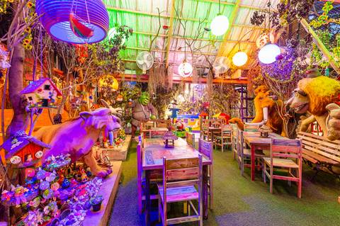 Fotografia-Aniversário-Infantil'