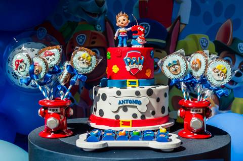 Retrato-de-Aniversário-Infantil'