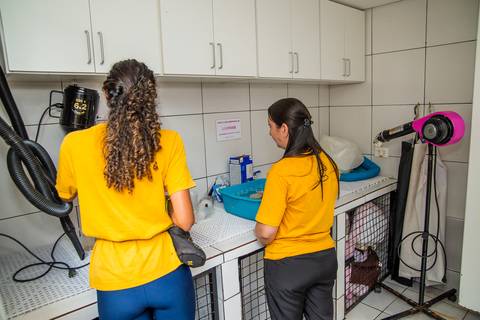 '