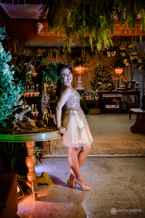 fotos 15 anos na decoracao'