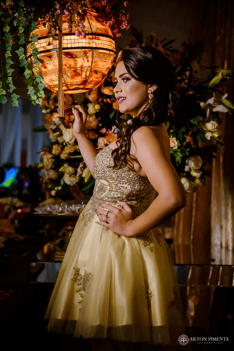 fotos artistica no 15 anos'