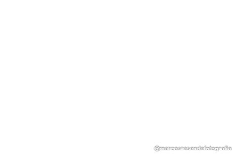 '