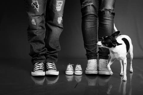 Ensaio gestante com pet, allstar, Ensaio fotográfico de gestante, Gravidiva, tentante, gravidez, ensaio sensual, gestante sensual, Estúdio fotográfico especializado em gestante, Ensaio fotográfico de gestante, book de gestante, Daniel Moura'