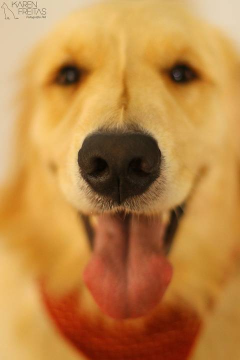 '