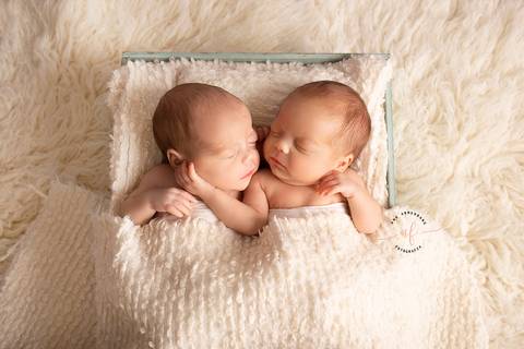 fotografo newborn gemeos no porto'