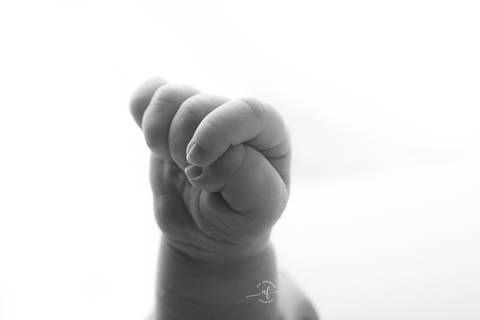 foto detalhes da maõzinha'