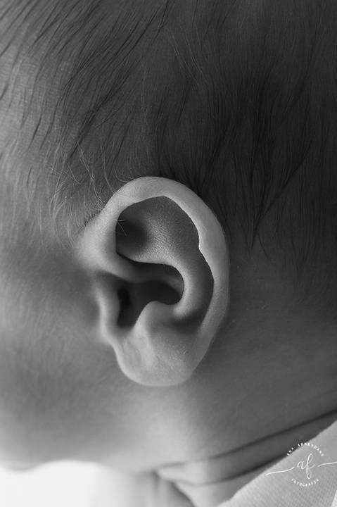 foto detalhes da orelha'