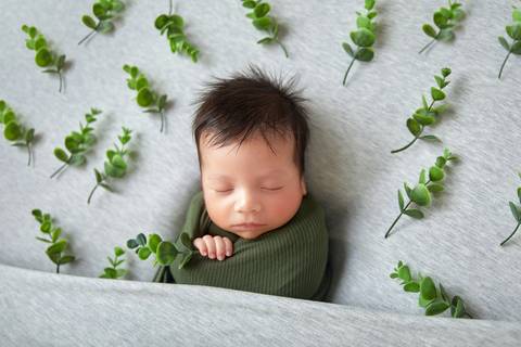 Urban Jungle newborn'