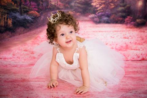 Smash the cake tema princesa, fundo castelo, Gabi Aine'