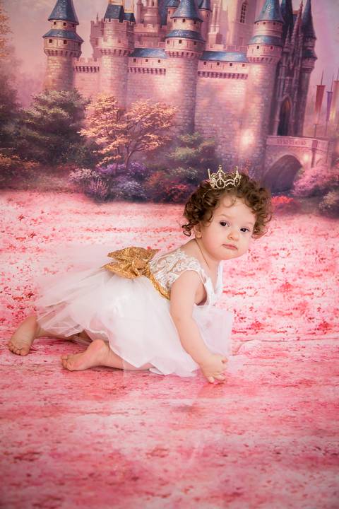 Bebe de 1 ano, tema princesa em ensaio fotografico'