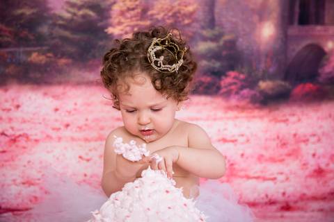 Ensaio celebrar, estúdio Gabi Aine, Smash the cake em Brasilia DF'