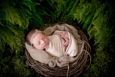 recem nascida no jardim, ensaio recem nascido, Newborn em Brasilia'