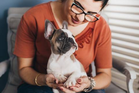 Filho de 4 patas, ensaio pet Brasilia'