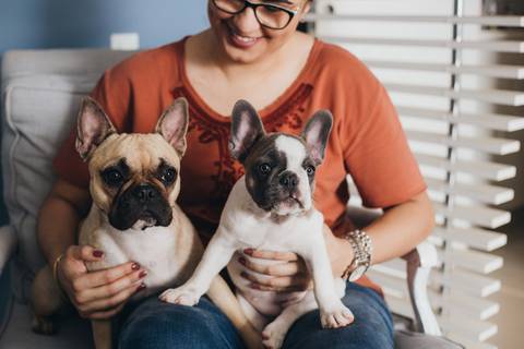 Ensio Pet em Brasilia, filhote de cachorro, newborn Pet Brasilia'