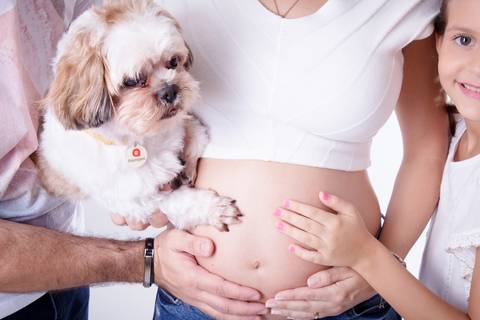 Fotografia de familia ensaio gestante DF'