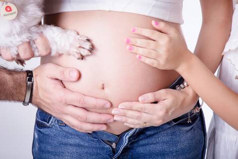 Peto no ensaio gestante em etúdio DF'