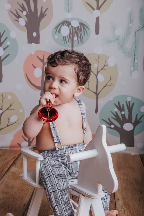 Ensaio de acompanhamento bebê de 9 meses'