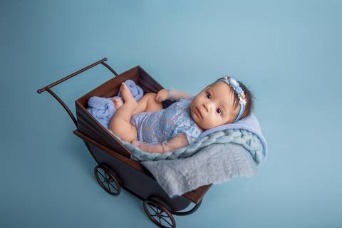 Carrinho, bebê de três meses, ensaio primeiro ano àguas claras DF'