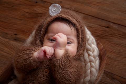 ursinha feliz em seu ensaio primeiro ano'