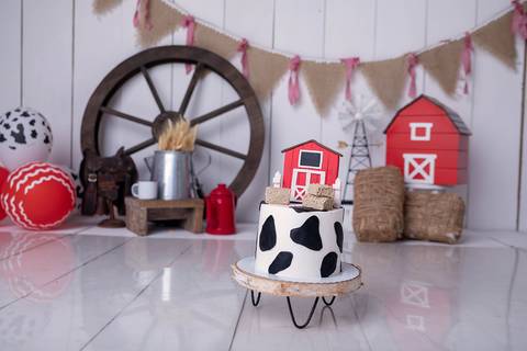 smash the cake tema fazendinha Brasilia Estúdio Gabi Aine '