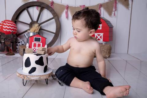 furar bolo, smash the cake, ensaio com bolo águas claras, tema fazendinha, vermelha, Gabi Aine'