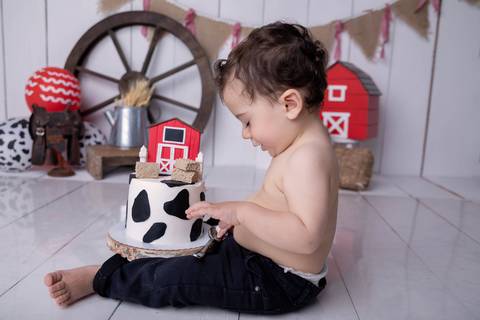 Que bolo legal, ensaio smash the cake Brasilia DF'